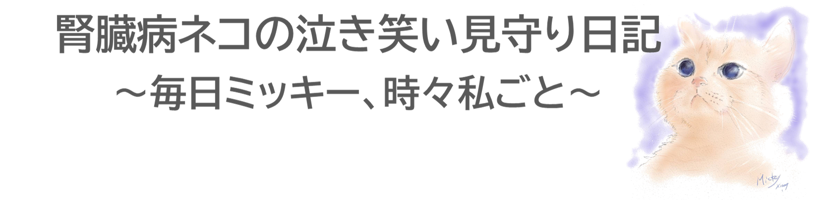 腎臓病ネコの泣き笑い見守り日記