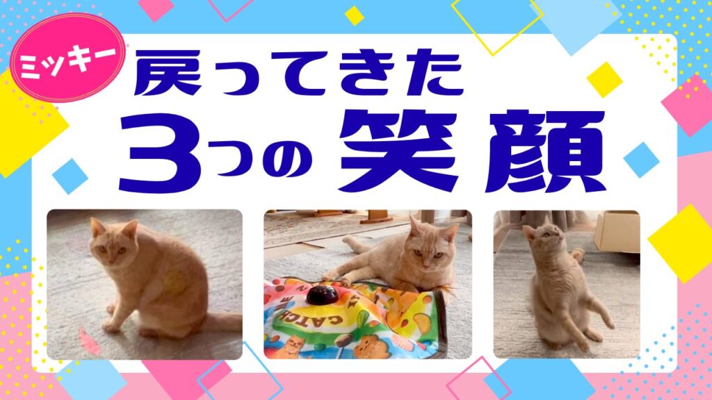 ミッキー、戻ってきた３つの笑顔