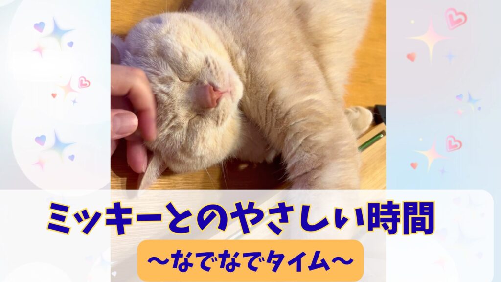 ミッキーとのやさしい時間