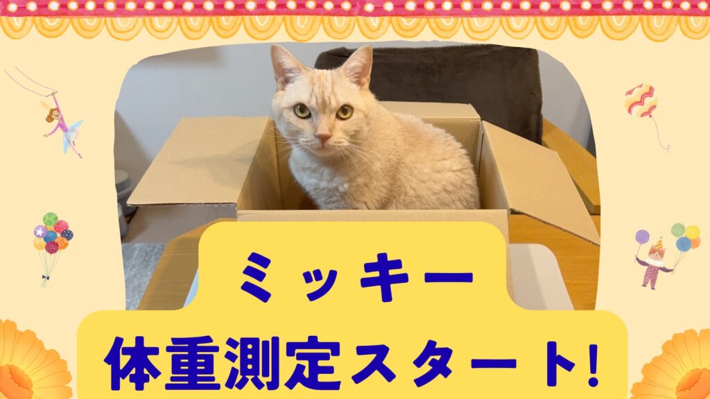 ミッキー体重測定スタート