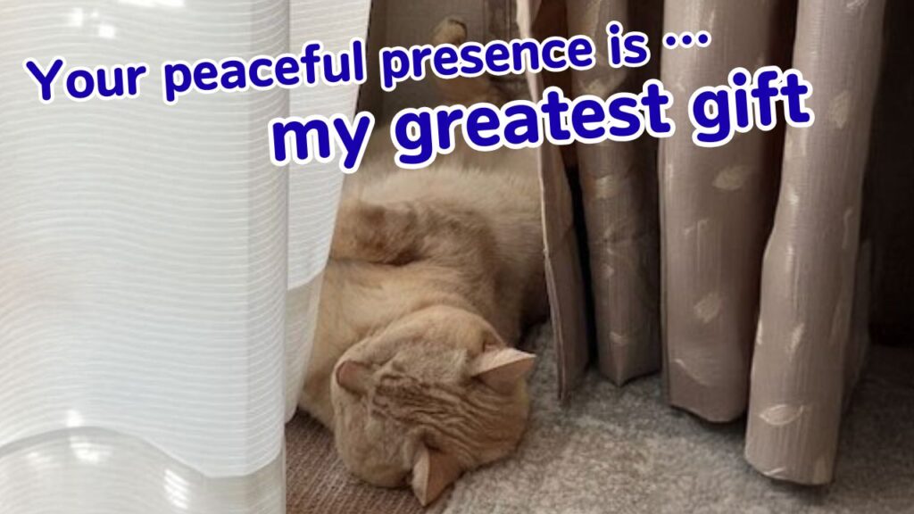 Your peaceful presence is my greatest gift, Mickey.