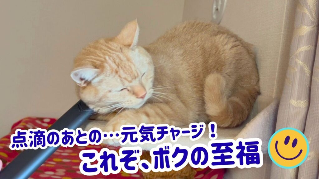 点滴のあとの元気チャージ!これぞボクの至福