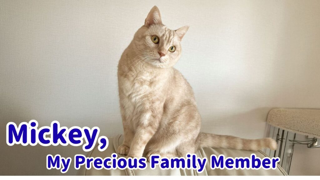 Mickey, My Precious Family Member