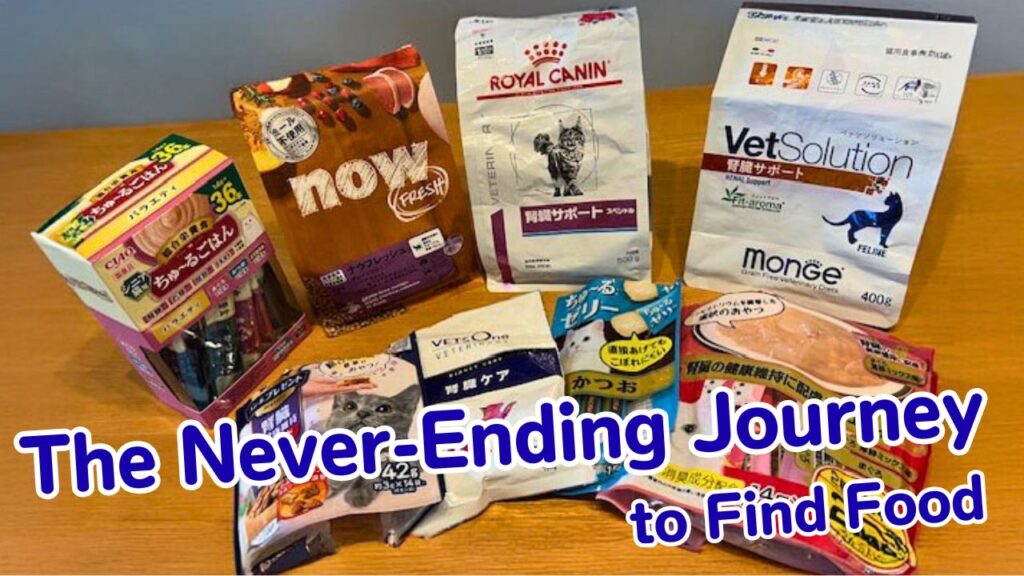 The Never-Ending Journey to Find Food