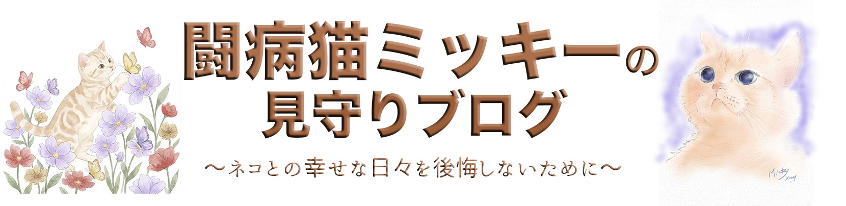 闘病猫ミッキーの見守りブログ