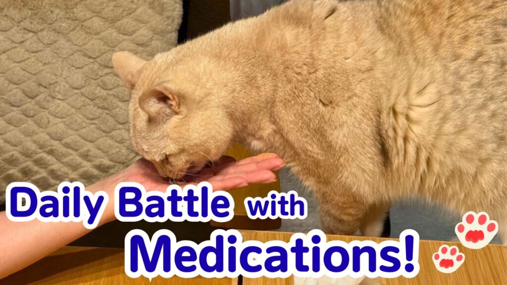 Daily Battle with Medications