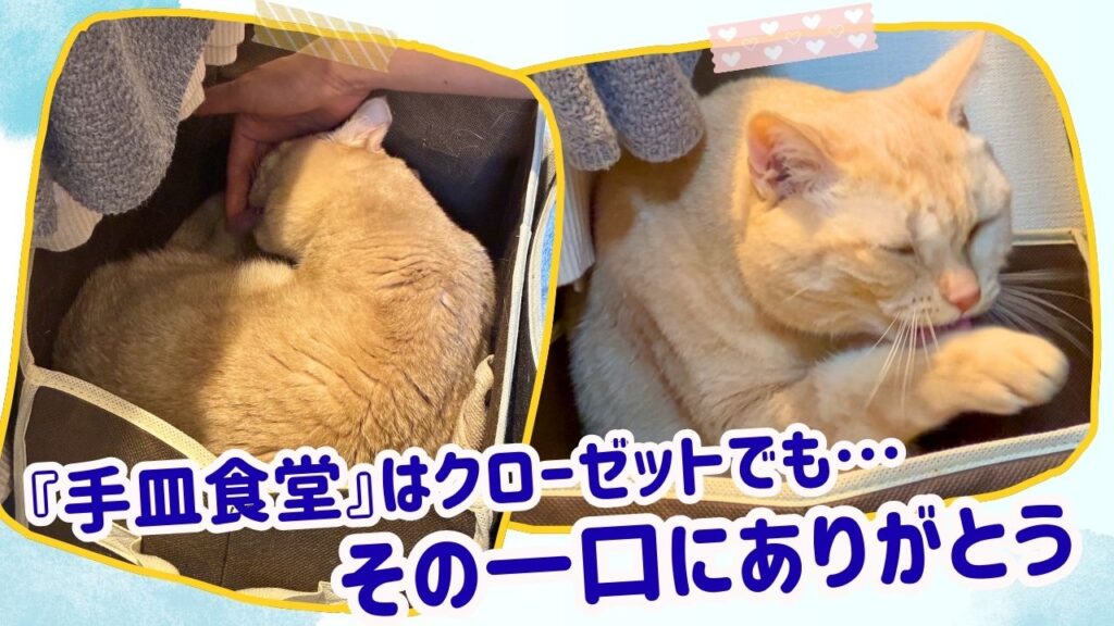 「手皿食堂」はクローゼットでも…その一口にありがとう