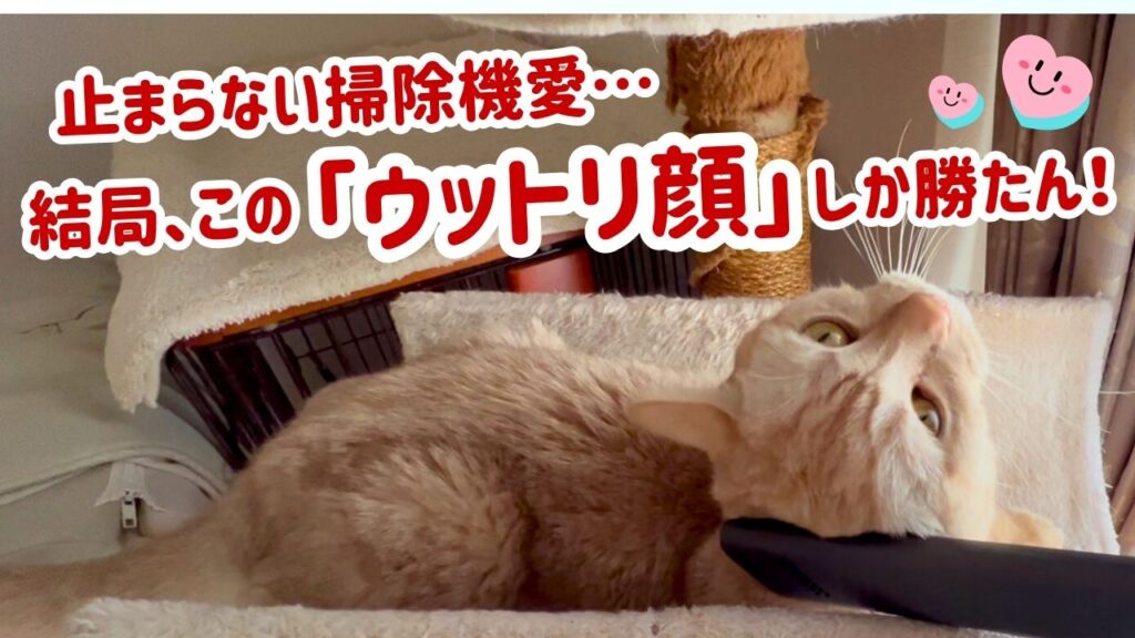 止まらない掃除機愛…結局、この「ウットリ顔」しか勝たん！