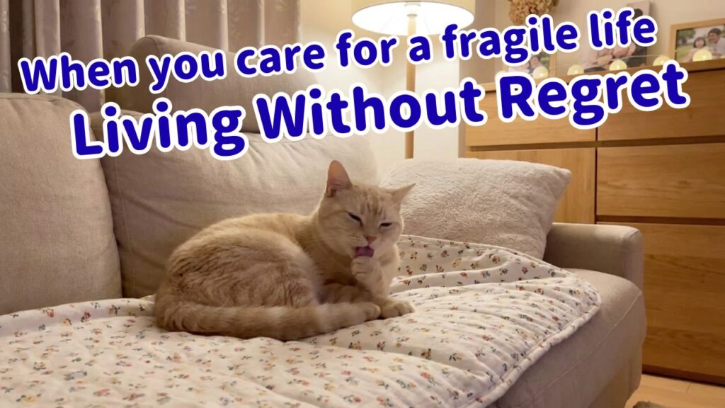 Living Without Regret
When you care for a fragile life
