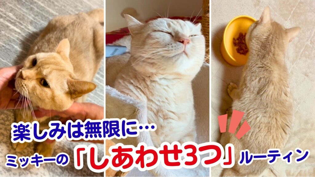 楽しみは無限に…ミッキーの「しあわせ3つ」ルーティン