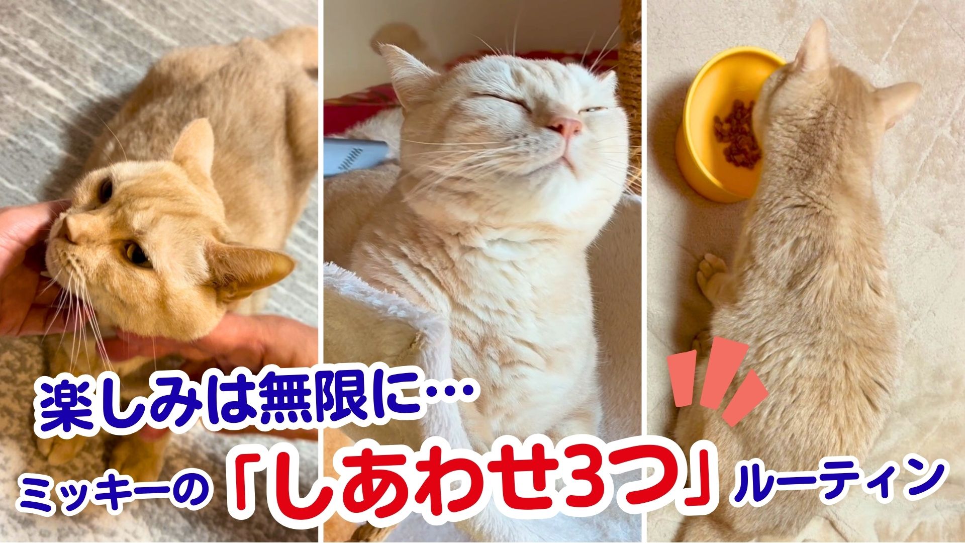 楽しみは無限に…ミッキーの「しあわせ3つ」ルーティン