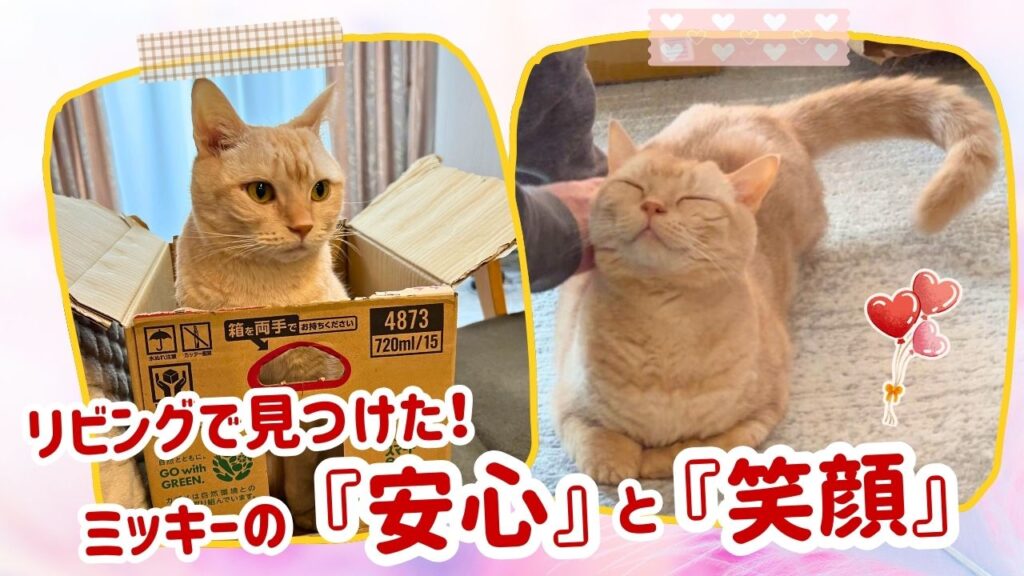 リビングで見つけた！ミッキーの『安心』と『笑顔』