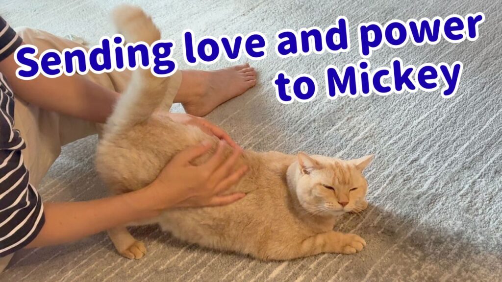 Sending love and power to Mickey