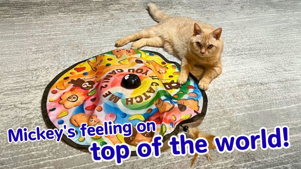 Mickey's feeling on top of the world!