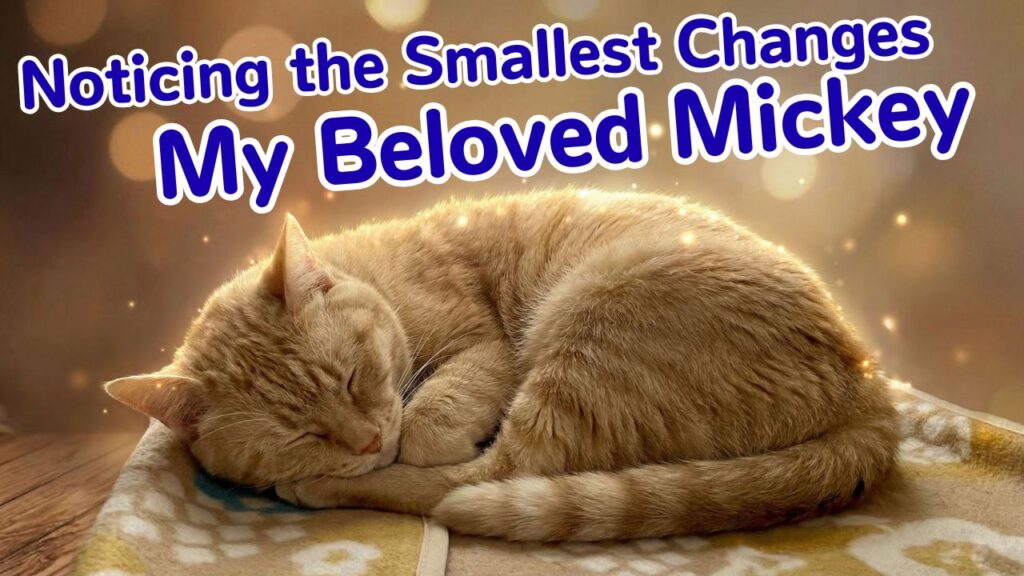 Noticing the Smallest Changes.My Beloved Mickey
