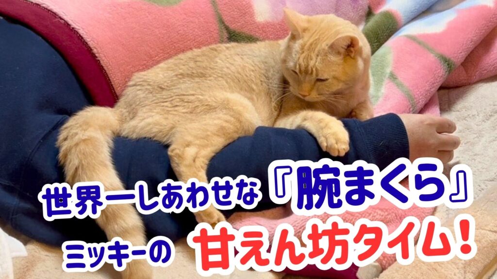 世界一しあわせな「腕まくら」ミッキーの甘えん坊タイム!