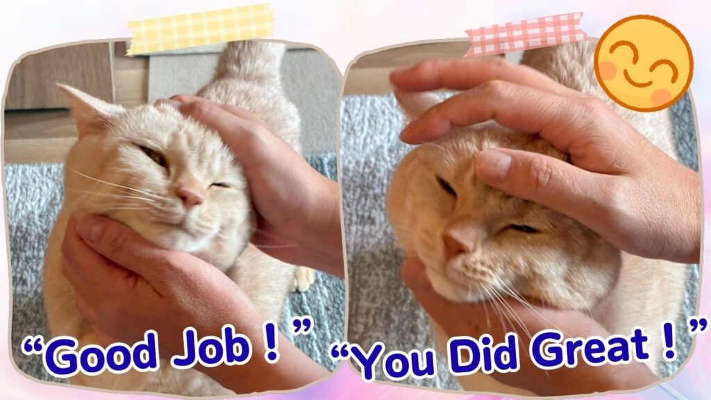 “Good Job” and “You Did Great” Festivals with Mickey