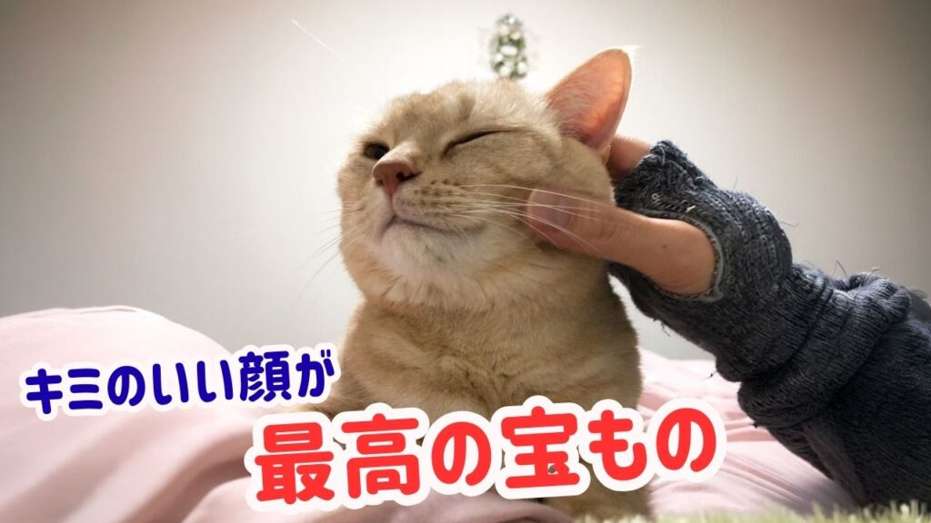 キミのいい顔が最高の宝もの