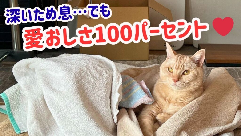 深いため息…でも愛おしさ100パーセント