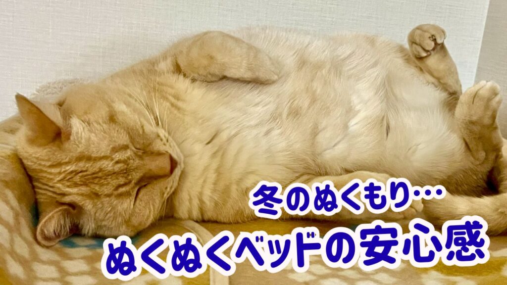 冬のぬくもり…ぬくぬくベッドの安心感