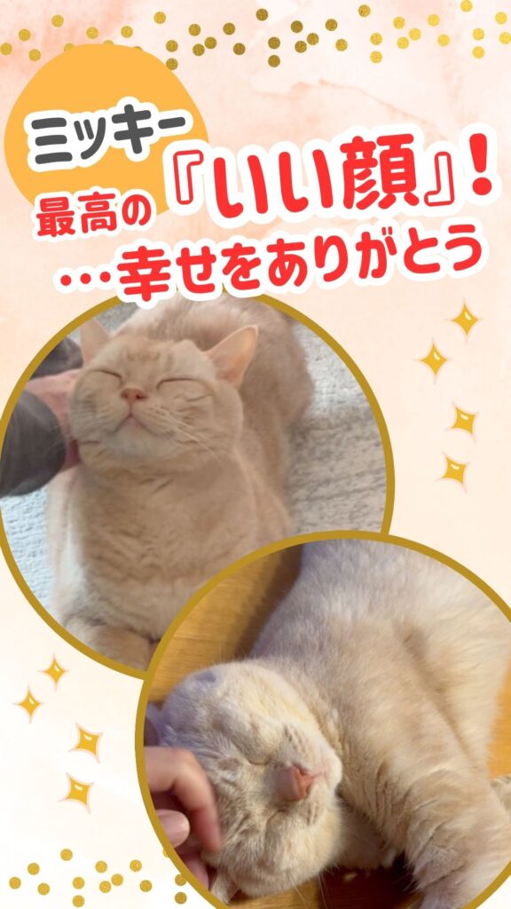 ミッキー、最高の『いい顔！』…幸せをありがとう