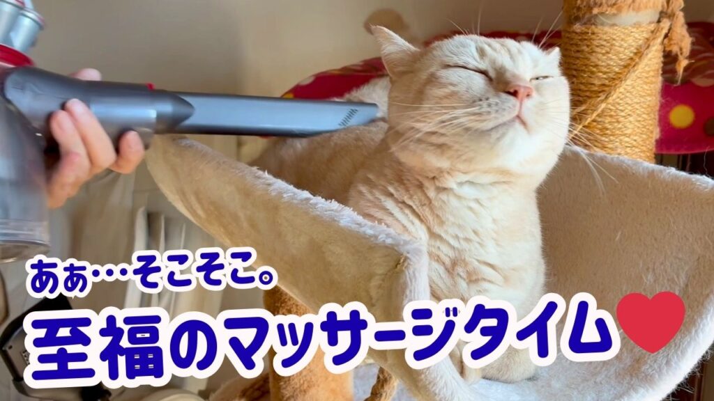 あぁ…そこそこ。至福のマッサージタイム❤️