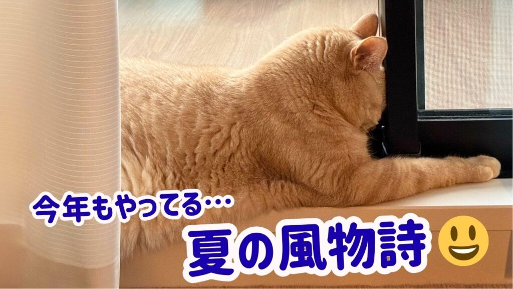 今年もやってる…夏の風物詩