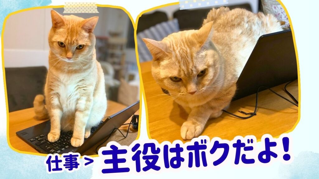 仕事>主役はボクだよ！