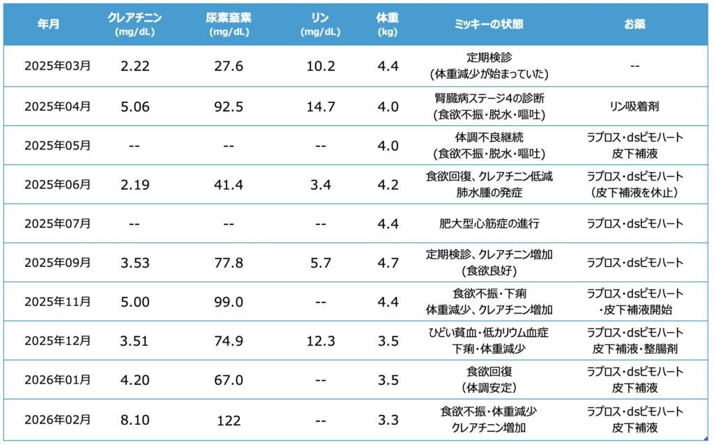 【表1】月別検査数値および体調・ケアの記録一覧
