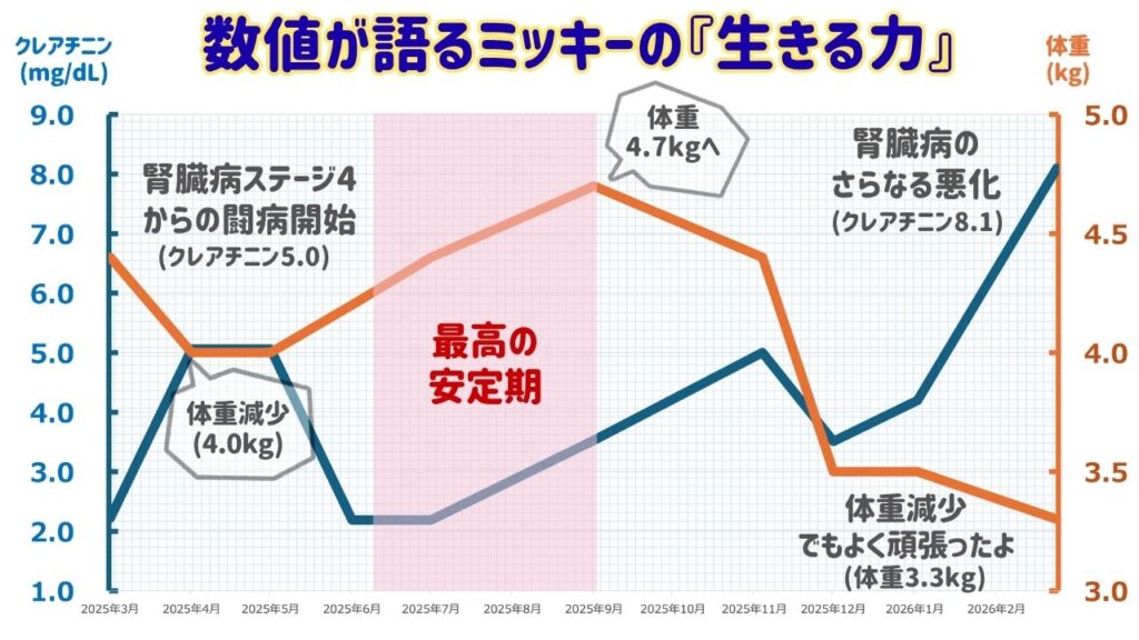 体重とクレアチニンの推移グラフ(ミッキーの生きる力)