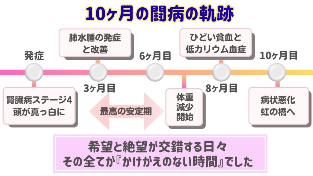 ミッキーの10ヶ月の闘病の軌跡