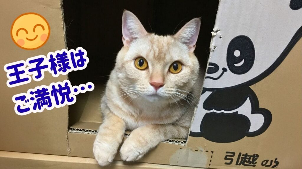 王子様はご満悦…